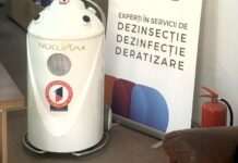 Cum scapi de ploșnițele de pat cu garanție și ce trebuie să știi despre serviciile DDD profesioniste