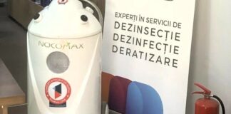 Cum scapi de ploșnițele de pat cu garanție și ce trebuie să știi despre serviciile DDD profesioniste